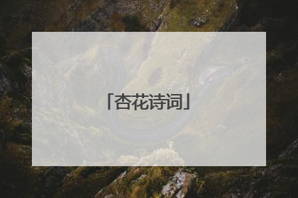 杏花诗词