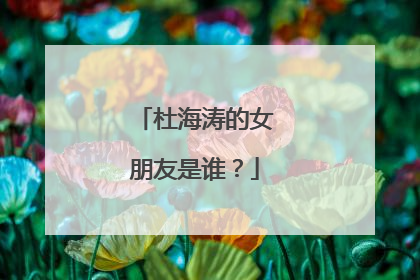 杜海涛的女朋友是谁?