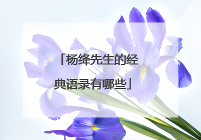 杨绛先生的经典语录有哪些