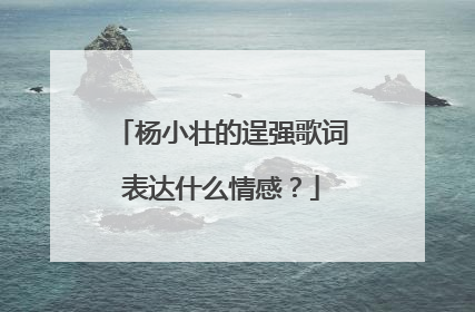 杨小壮的逞强歌词表达什么情感?