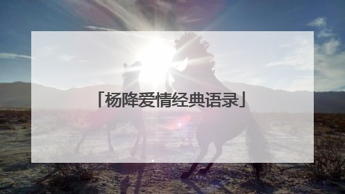 杨降爱情经典语录