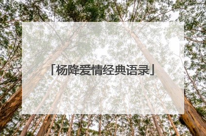 杨降爱情经典语录
