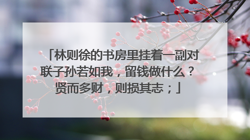 林则徐的书房里挂着一副对联子孙若如我,留钱做什么?贤而多财,则损其志;