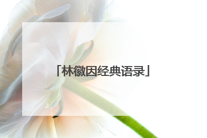 林徽因经典语录