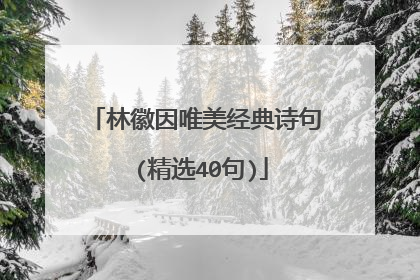 林徽因唯美经典诗句 (精选40句)