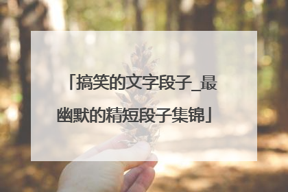 搞笑的文字段子_最幽默的精短段子集锦