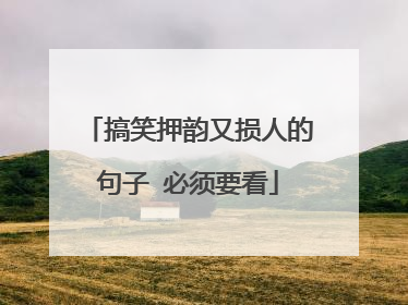 搞笑押韵又损人的句子 必须要看