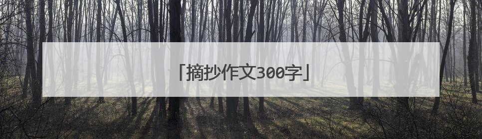 摘抄作文300字