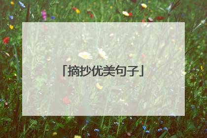 摘抄优美句子