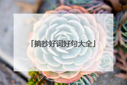 摘抄好词好句大全