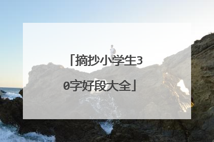 摘抄小学生30字好段大全