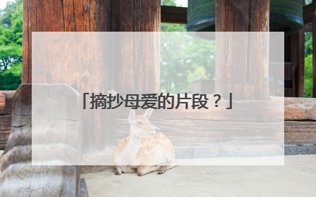 摘抄母爱的片段?