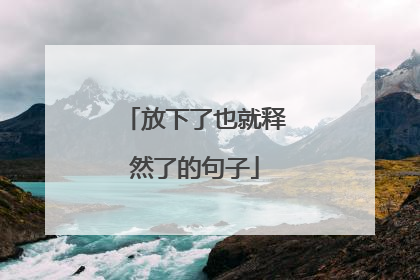 放下了也就释然了的句子