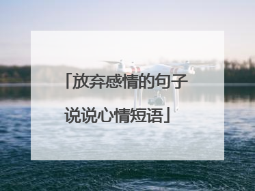 放弃感情的句子说说心情短语
