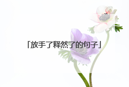 放手了释然了的句子