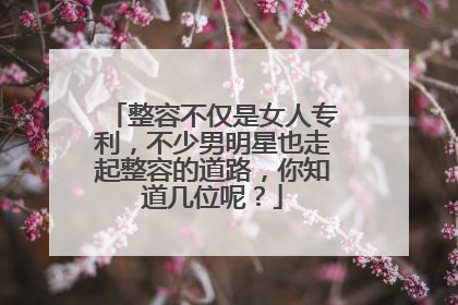 整容不仅是女人专利，不少男明星也走起整容的道路，你知道几位呢？