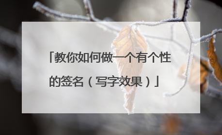 教你如何做一个有个性的签名(写字效果)