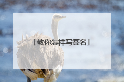教你怎样写签名