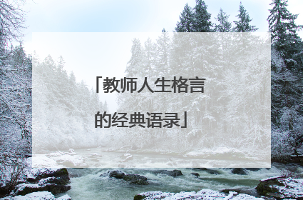 教师人生格言的经典语录