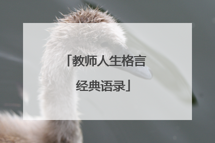教师人生格言 经典语录