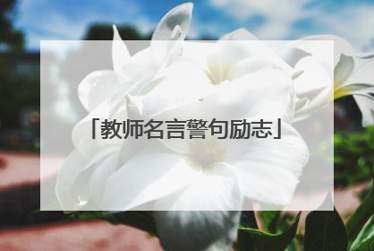 教师名言警句励志