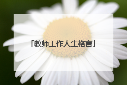 教师工作人生格言