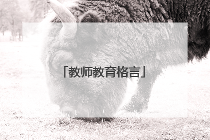 教师教育格言