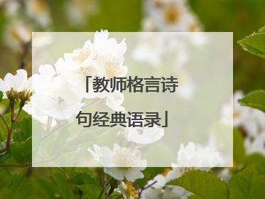 教师格言诗句经典语录
