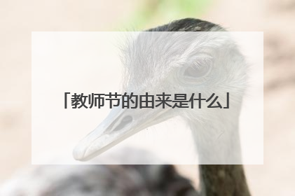 教师节的由来是什么