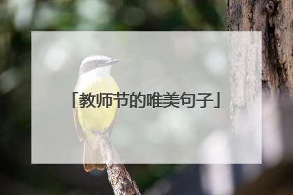 教师节的唯美句子
