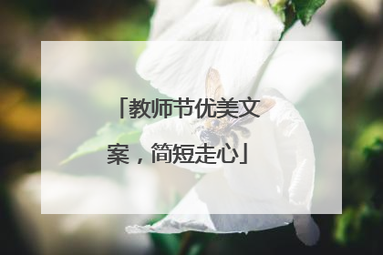 教师节优美文案,简短走心