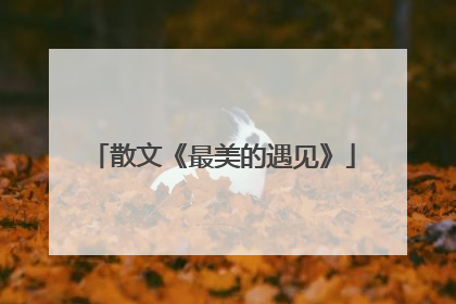 散文《最美的遇见》