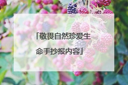 敬畏自然珍爱生命手抄报内容