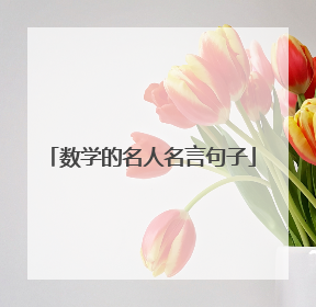 数学的名人名言句子