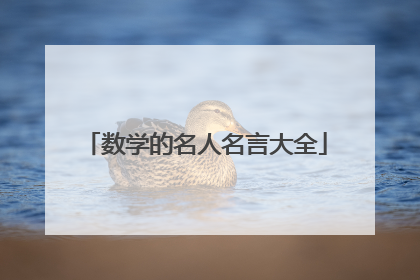 数学的名人名言大全