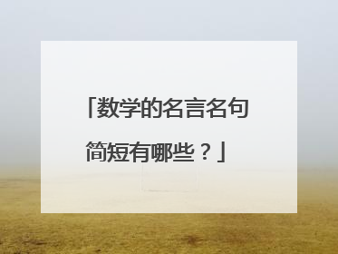 数学的名言名句简短有哪些?