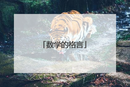 数学的格言