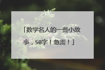 数学名人的一些小故事,50字!急需!