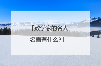 数学家的名人名言有什么?