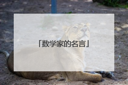 数学家的名言
