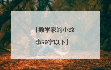 数学家的小故事50字以下