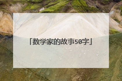 数学家的故事50字