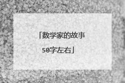 数学家的故事50字左右