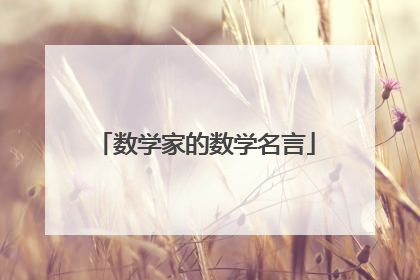 数学家的数学名言