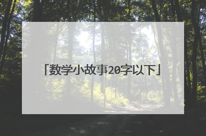 数学小故事20字以下