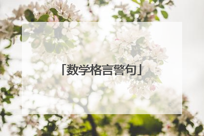 数学格言警句