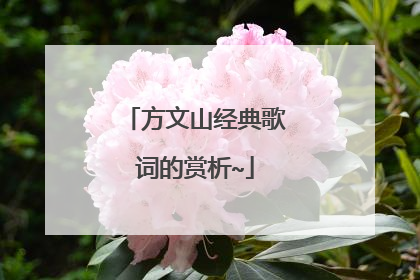 方文山经典歌词的赏析~