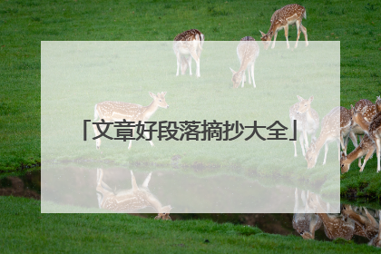 文章好段落摘抄大全