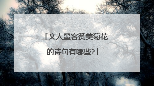 文人墨客赞美菊花的诗句有哪些?