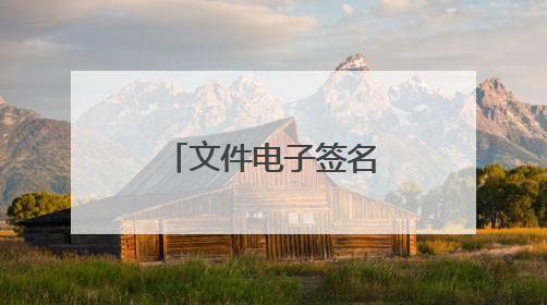 文件电子签名怎么签啊?